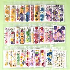 Dried pressed flowers for resin. Pressed Flowers Dried Flowers Scrapbooking Dry Flowers Diy Preserved Flower Resin Casting Fillers Jewelry Making Home Decoration Hot Price 98eda9 Goteborgsaventyrscenter