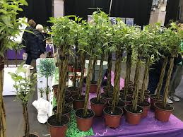 Check spelling or type a new query. Wacky Ideas For Your Urban Garden The English Garden