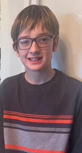 Weekly dog poop cleaning business for yards