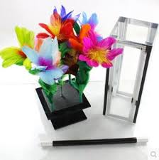 Memory helps improve mental clarity, long and short term memory, and focused attention. Crystal Botania Clarity Box To Flower Magic Tricks For Professional Magician Stage Appearing Flower Bush Illusion Mental Magic Illusions Illusions Magic Tricks