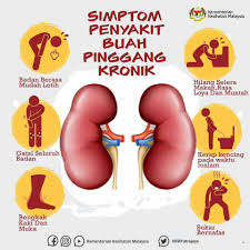 Buah pinggang antara organ terpenting dalam badan kerana ia menapis kekotoran. 8 Tanda Buah Pinggang Anda Rosak