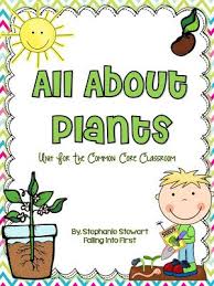 All About Plants Freebie Elementary Science First Grade Science All About Plants