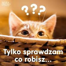 Pin By Barbara On A Kolor Rudy Weekend Humor Animals Funny