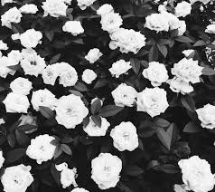 398,000+ vectors, stock photos & psd files. Grey Grey Aesthetic And Aesthetic Image 6074677 On Favim Com