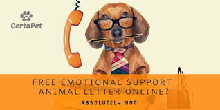 A request from a patient for an emotional support animal documentation letter provides an opportunity to reassess the patient's mental. Is A Free Emotional Support Animal Letter Online Real Certapet
