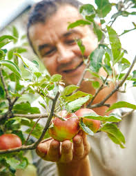 Anna Apple's Instagram, Twitter & Facebook