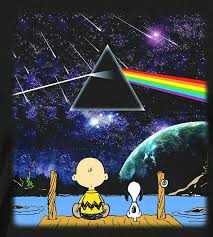 Pink Floyd The Dark Side Of The Moon Vinile You Know Snoopy I Love Pink Floyd Pink Floyd Wallpaper Pink Floyd Dark Side Pink Floyd Art