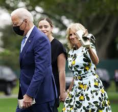 Image result for Bidens grantii