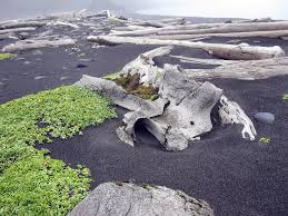 The island is 53 km long and covers . Jan Mayen Wikipedia