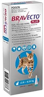 How does bravecto plus work? Bravecto B0216 Plus For Cats 2 8 To 6 25 Blue Pack 1 Pipette Medium Amazon Com Au Pet Supplies