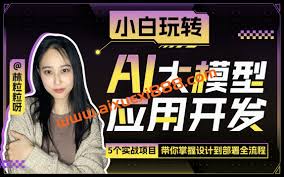 林粒粒：小白玩转AI大模型应用开发- 爱学习