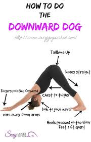 27 Amazing Benefits Of Yoga Connect Your Mind And Body Downward Dog Pose Yoga For Beginners Yoga