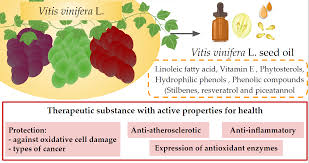 Image result for Vitis vinifera