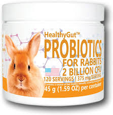 Sick rabbits, by and large, are dead rabbits in my experience. Treating Minor Colds In Rabbits Breadbox Farm