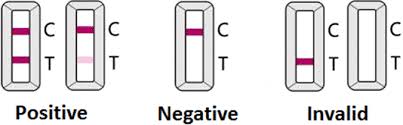 How is a lateral flow test taken? Winter Break Covid 19 Student Testing Programme