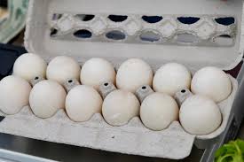 We did not find results for: Why Duck Eggs Are The Best Thing You Ve Never Eaten Yet Insteading