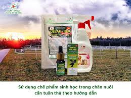 Những lưu ý khi sử dụng chế phẩm sinh học cho vật nuôi