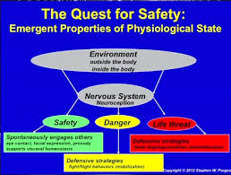 Polyvagal Theory Diagram Google Search Nervous System