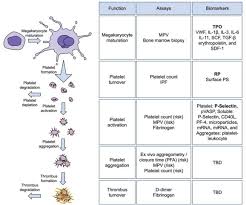 Image result for Platelet Function Closure Time
