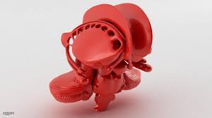 Limbic System 3d Model Limbic System 3d Model System