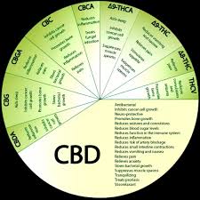 what are the benefits of cbd crystals quora