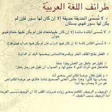 من طرائف اللغة العربية مصورة