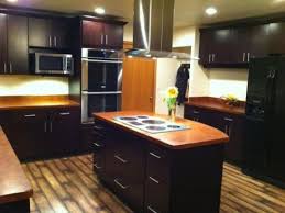 Modern kitchen with dark stain shaker cabinets. 40 Dark Brown Kitchen Cabinets Pictures