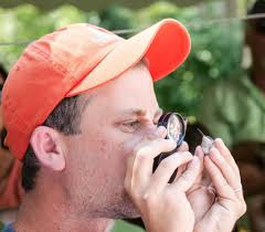 Totally nerding out': bird enthusiasts gather in West Feliciana to band,  count hummingbirds