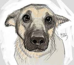Drawing Nature Animals Eyes 59 Ideas Animal Drawings Dog Art Dog Drawing