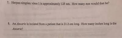 Convert 20 inches to millimeters: 7 Herpes Simplex Virus 1 Is Approximately 125 Nm Chegg Com
