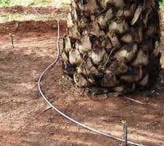 Irigasi permukaan merupakan sistem irigasi yang menyadap air langsung di sungai melalui bangunan bendung maupun melalui bangunan pengambilan bebas (free intake) kemudian air irigasi dialirkan. Pengairan Pada Kelapa Sawit Fastgrow Fertilizer