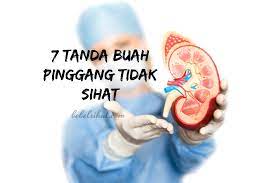Pemindahan buah pinggang adalah pembedahan yang besar di mana buah pinggang pesakit digantikan dengan buah pinggang yang sihat. Buah Pinggang In English Wanita Lebih Cenderung Kena Kegagalan Buah Pinggang Berbanding Lelaki Astro Awani Buah Pinggang Melakukan Proses Utama Untuk Mengekalkan Keseimbangan Kimia Dalam Cecair Tubuh Kita Proses