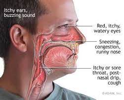 Symptoms Of Hay Fever I Ve Suffered From Hay Fever For About 15 Years Now My Symptoms Usually Start Around March And Mucus Cough Mucus In Throat Watery Eyes