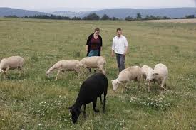 Die jakobsberger milchhandwerker produzieren traditionell handwerklich. Portrait Lebendige Erde