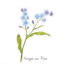 Illustration Of Forget Me Not Flower Isolated On White Background Flower Illustration Flower Drawing Watercolor Plants