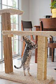 Gingerly Made Diy Cat Scratcher Diy Cat Scratcher Cat Diy Cat Scratcher