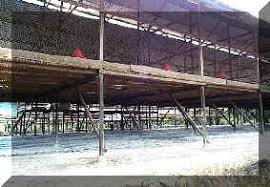 Lawatan ke reban ayam kampung asli yang berskala komersial di melaka #ayamkampung. Amalan Perladangan