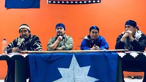 Compra libros sin iva en buscalibre. Hector Llaitul Hay Zonas En Que El Empresariado No Puede Entrar Cooperativa Cl