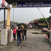 Ppk hutan melintang instagram : Hutan Melintang