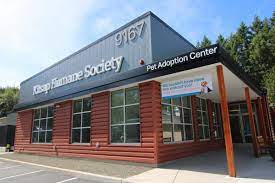 Visit the khs's website page to pay online. Kitsap Humane Society New Pet Adoption Center Grand Opening Celebration October 26