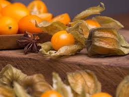 Sharon macdonald, альбом jingle in my pocket (songs that teach). The Health Benefits Of Exotic Fruits Saga