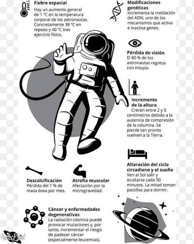 El cuerpo humano no está diseñado para vivir fuera de la Tierra y los  astronautas que pasan largos periodos en el espacio enfrentan cambios  físicos significativos en sus cuerpos. ¿Cuáles son? El