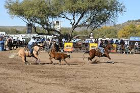 Ace Ashford, 18, Dies in Horse Accident Aug. 12, 2024