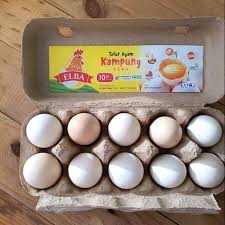 Telur ayam merupakan salah satu bahan makanan favorit yang berasal dari hewani dan paling sering di konsumsi oleh berbagai kalangan masyarakat setiap harinya selain lauk pauk, daging dan sayuran. Telur Ayam Kampung Organik Omega 3 Shopee Indonesia