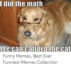 Funny cat and dog memes clean. 25 Best Memes About Funny Clean Dog Memes Funny Clean Dog Memes