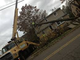 We strive to meet any and all of your tree needs in a timely manner and for a we are excited to service all of are new and current customers tree needs. Jp S Tree Service Home Facebook