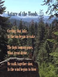 Imagery Poem Cause Why Not Imagery Poems Poetry Projects Poems
