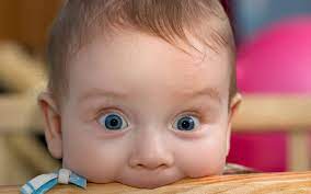 Four Reasons Why Children Bite And What You Can Do To Prevent It - Little  Kingdom Child Care