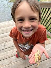 Vote Request for Jr. Ranger Competition in North Codorus Township