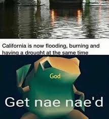 Pin On Animalmemes